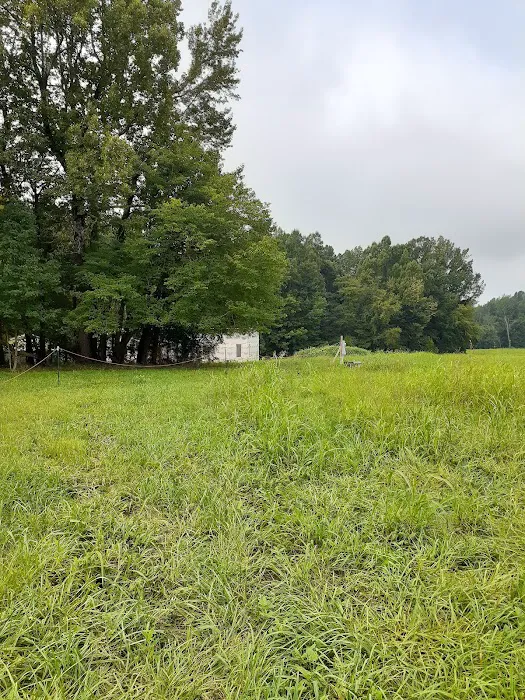 Village Mobile Home Park Picture 8