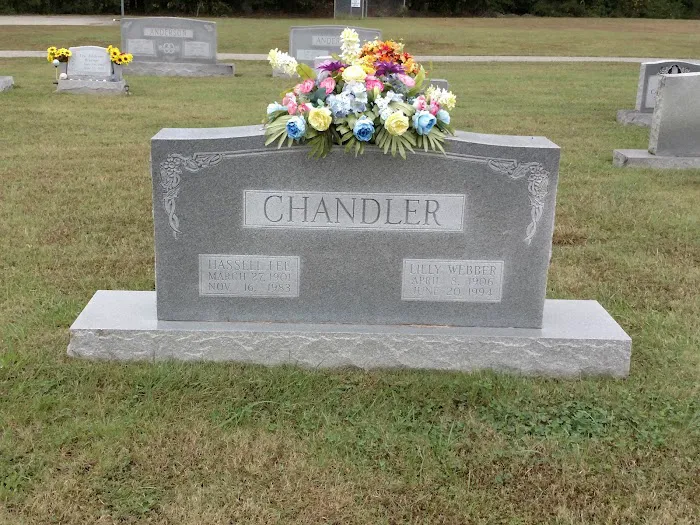 Village Mobile Home Park Picture 9