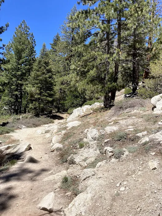 Buckhorn Campground Picture 4