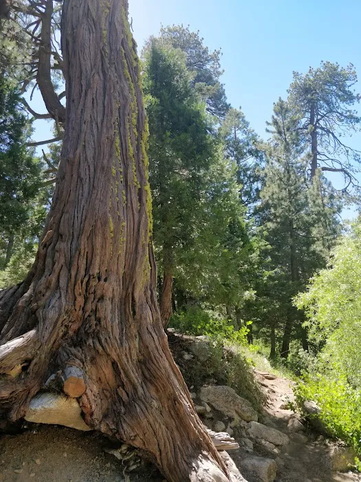 Buckhorn Campground Picture 5