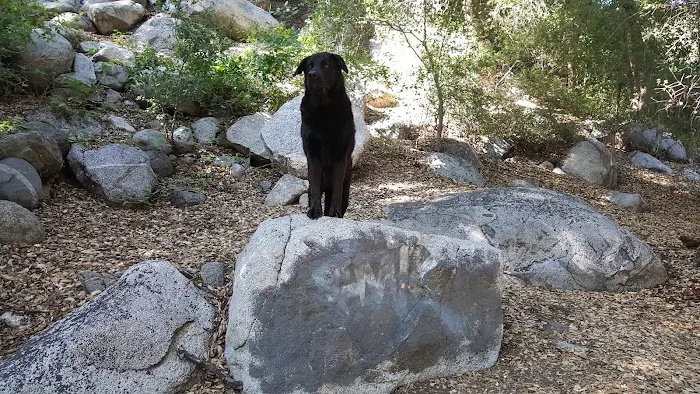 Bear Campground Picture 7
