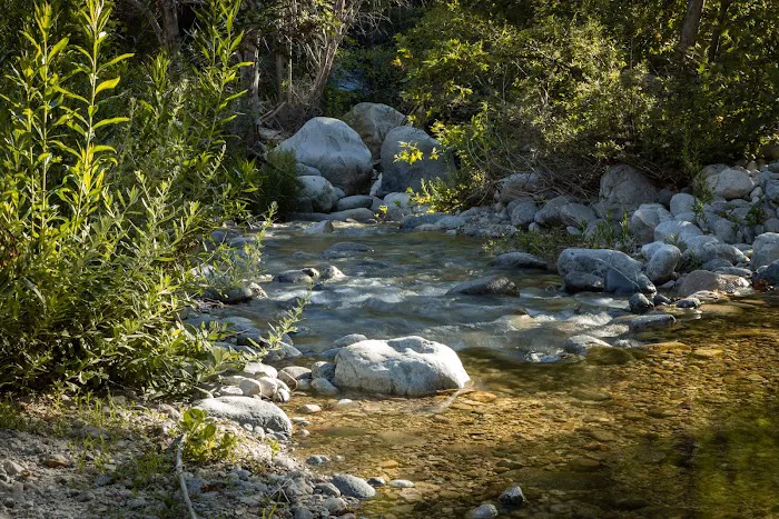 Bear Campground Picture 3