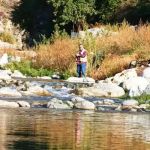 Camp Williams Resort