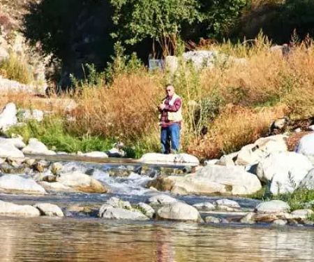 Camp Williams Resort