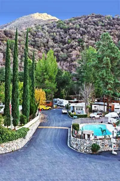 Camp Williams Resort Picture 6