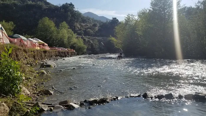 Camp Williams Resort Picture 9