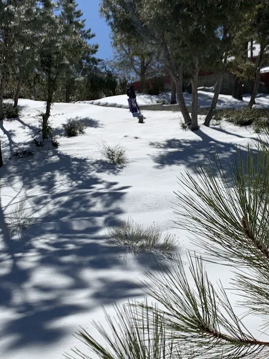 Camp Valcrest Picture 7