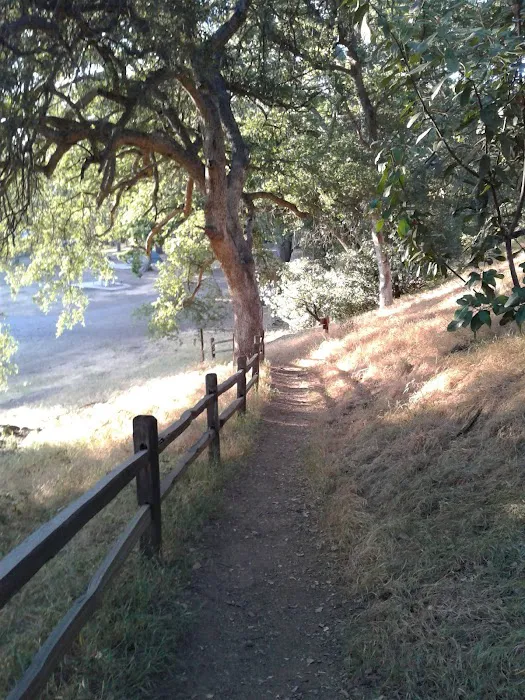 Oak Flat Campground Picture 9