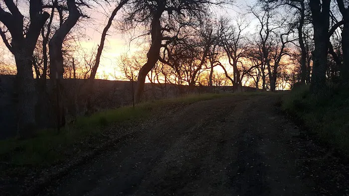 Oak Flat Campground Picture 6