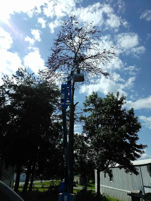 Green Level Mobile Home Park Picture 4