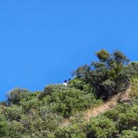 Los Alamos Campground ico