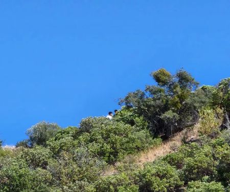 Los Alamos Campground