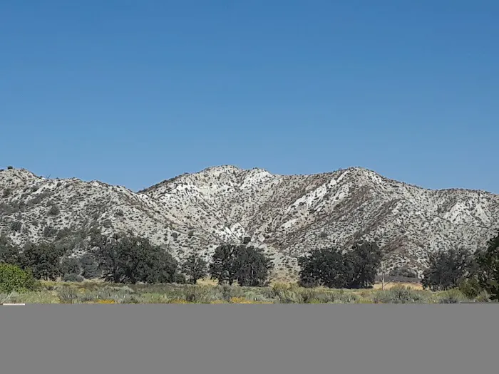 Los Alamos Group Campground Picture 1