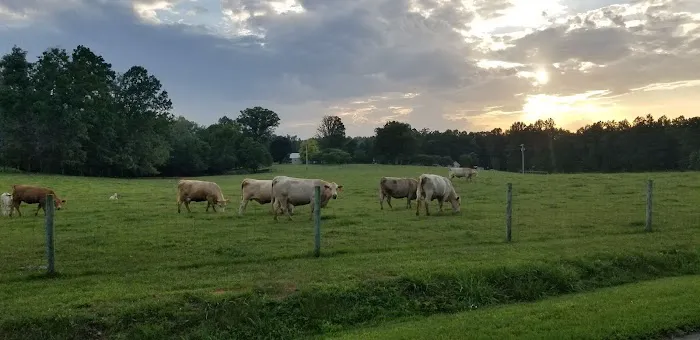 Jones Station RV Park and Campground Picture 5