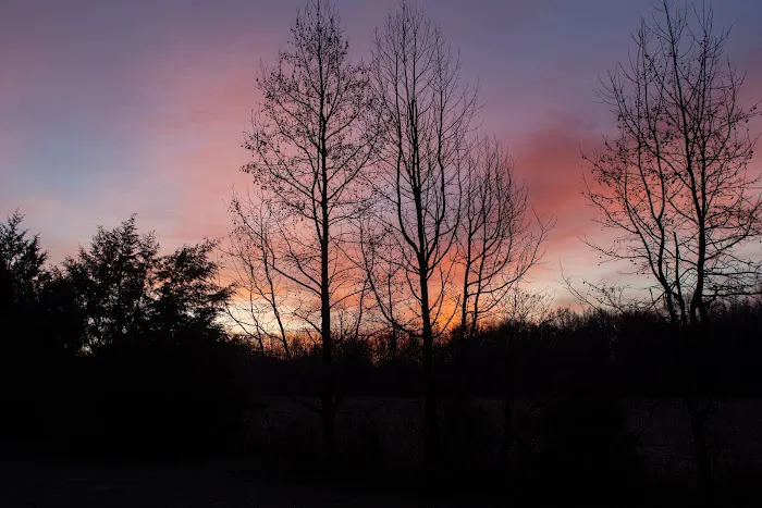 Jones Station RV Park and Campground Picture 6