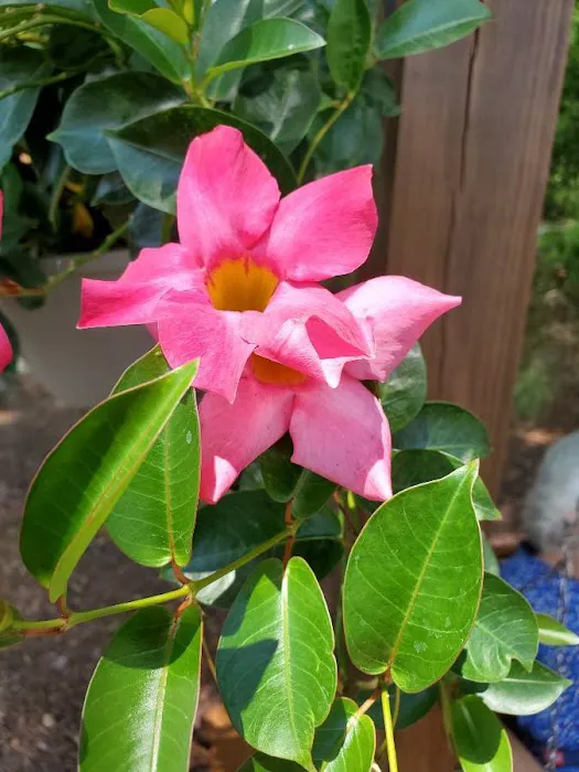 Jones Station RV Park and Campground Picture 2