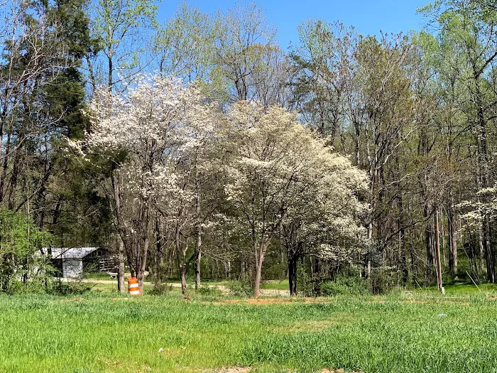 Wishing Well RV Park Picture 3