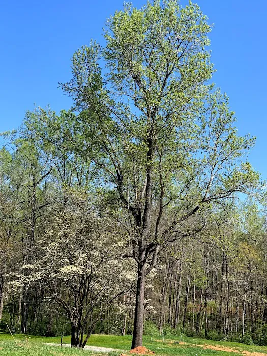 Wishing Well RV Park Picture 5