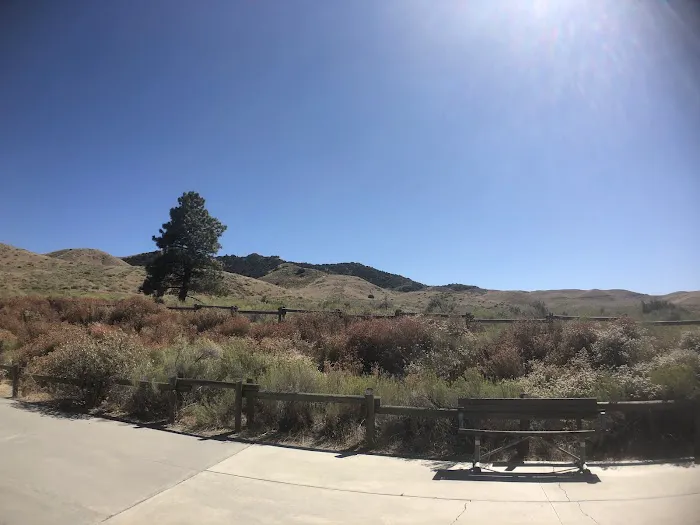 Honey Valley Group Campground Picture 10