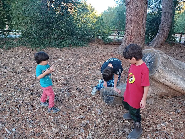 Tapo Canyon Campground Picture 1