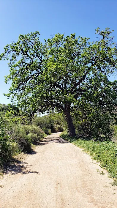 Tapo Canyon Campground Picture 9