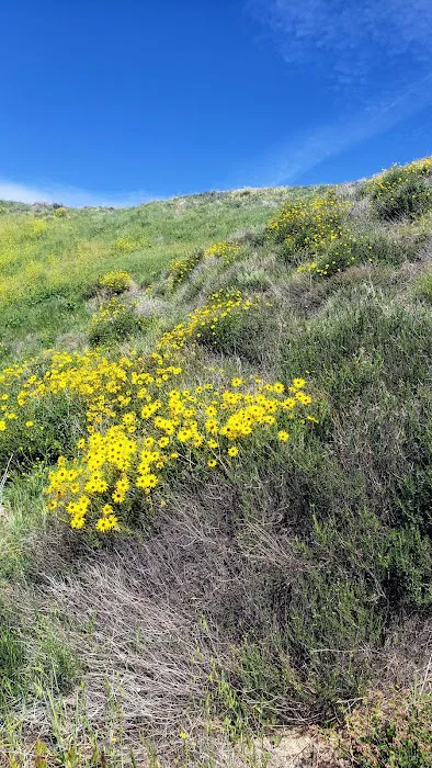 Tapo Canyon Campground Picture 2