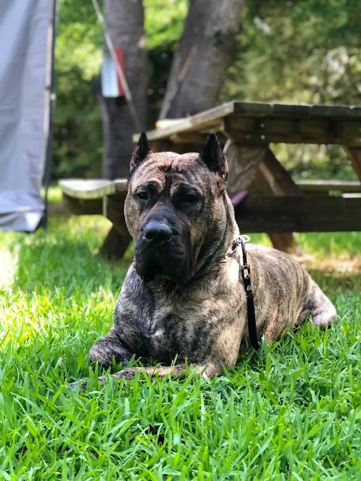 Art's RV Sites Picture 6