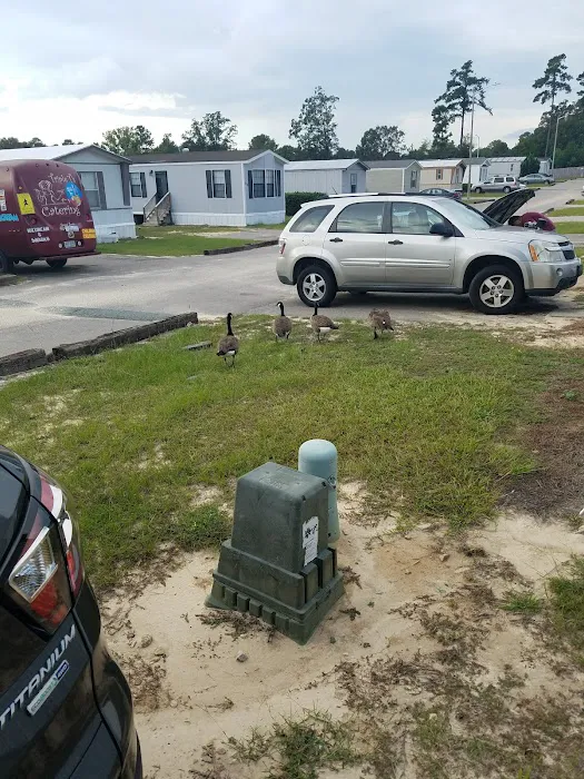 Cross Creek Pond MHP Picture 5