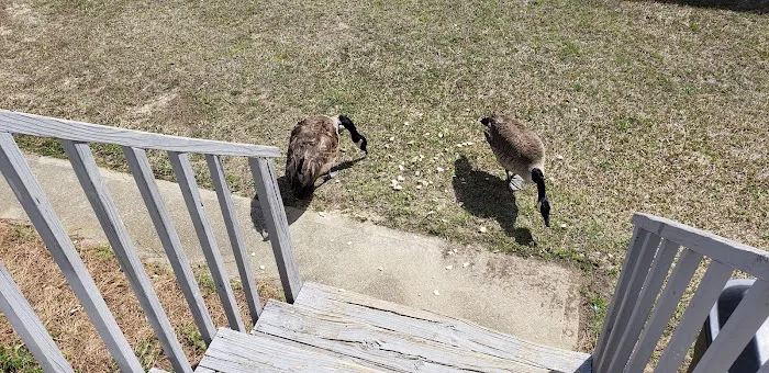 Cross Creek Pond MHP Picture 6
