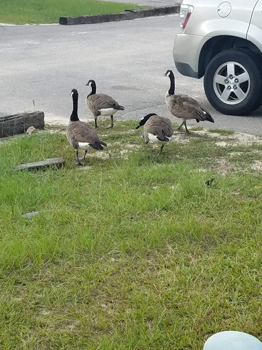 Cross Creek Pond MHP Picture 8