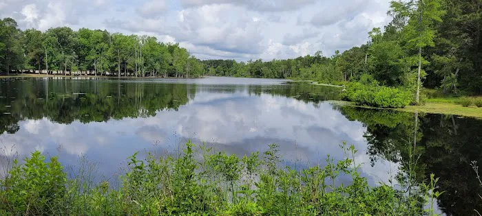 Penderlea Lake Campground Picture 4