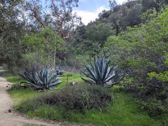 Gould Mesa Trail Camp Picture 1