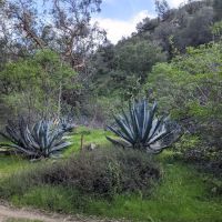 Gould Mesa Trail Camp ico