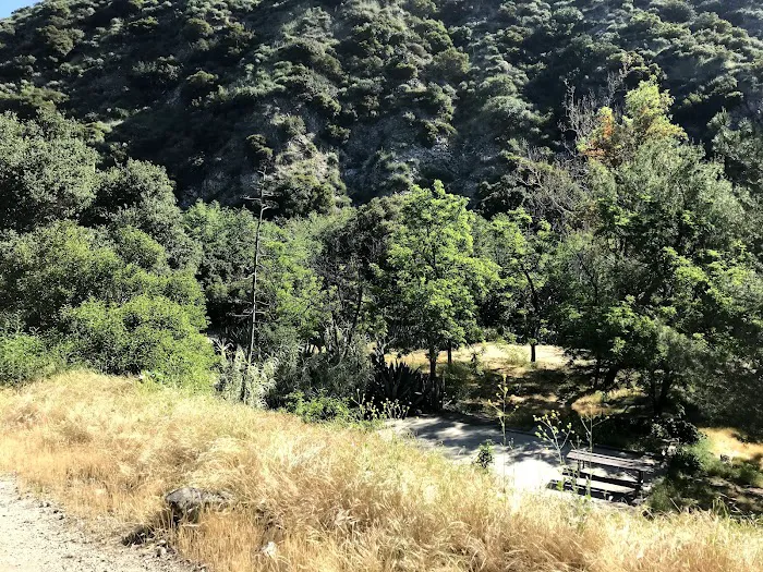 Gould Mesa Trail Camp Picture 3