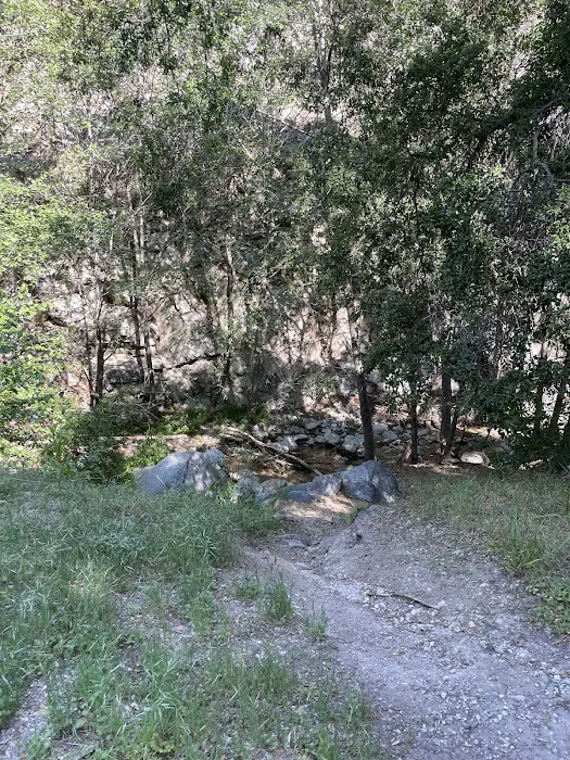 Gould Mesa Trail Camp Picture 6