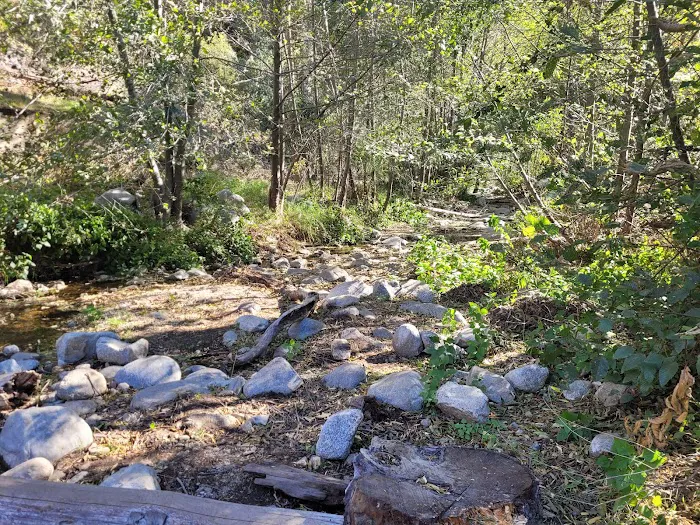 Gould Mesa Trail Camp Picture 8