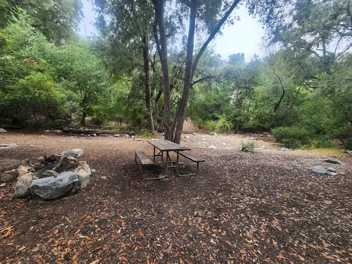 Bear Canyon Trail Camp Picture 10