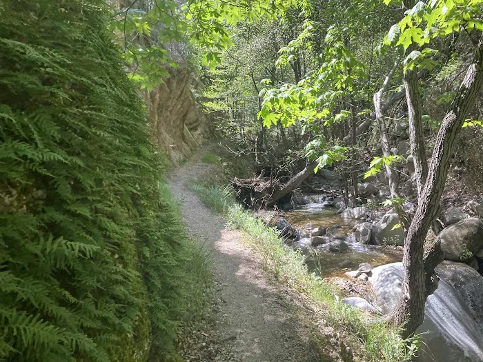 Bear Canyon Trail Camp Picture 4