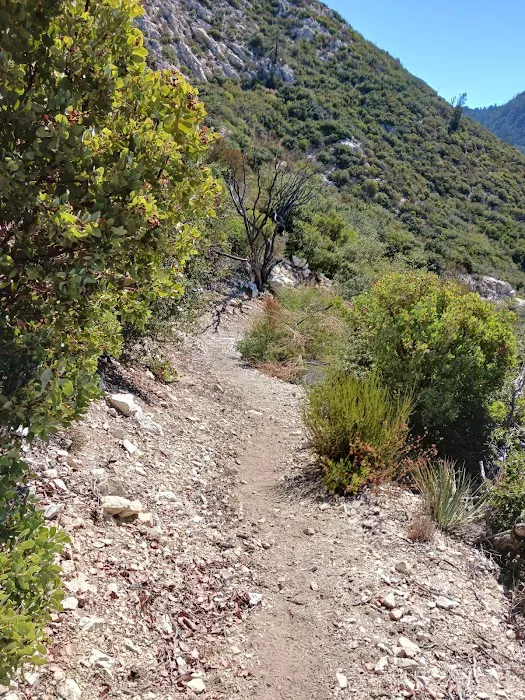 Bear Canyon Trail Camp Picture 5