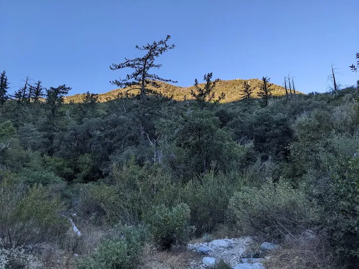 Bear Canyon Trail Camp Picture 1