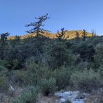 Bear Canyon Trail Camp