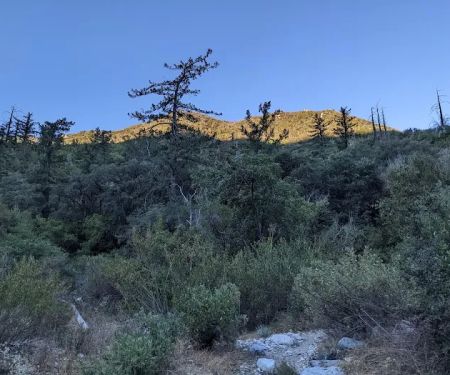 Bear Canyon Trail Camp