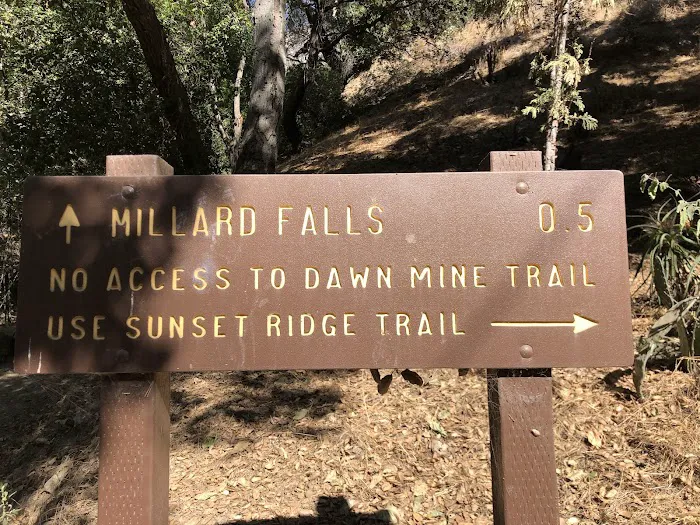 Millard Trail Camp Picture 1