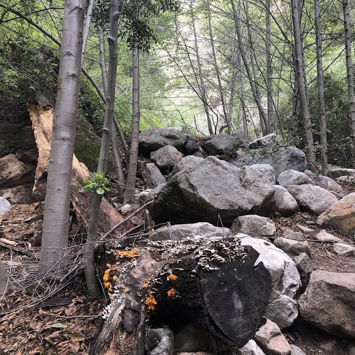Millard Trail Camp Picture 10