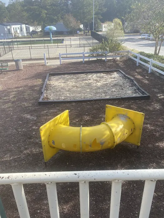 Taylors Creek Picture 6