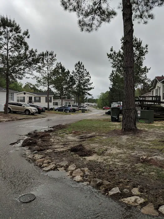 Taylors Creek Picture 10