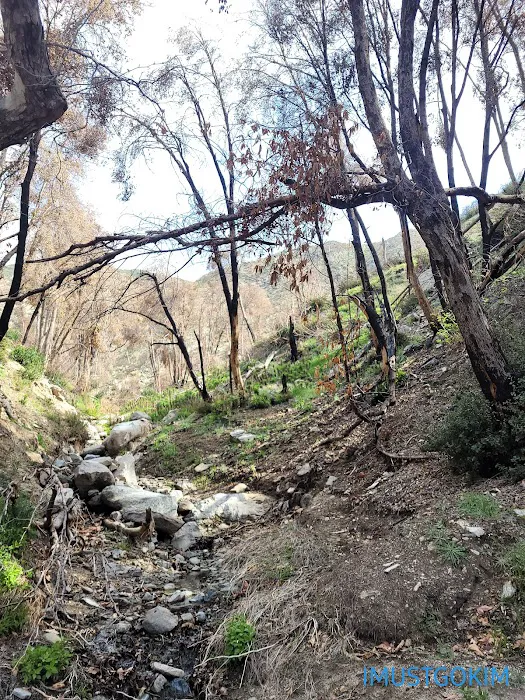 West Fork Trail Camp Picture 5