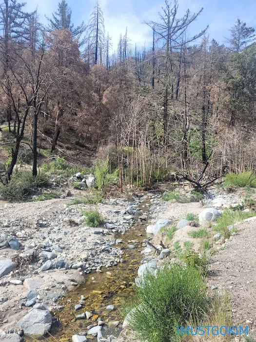 West Fork Trail Camp Picture 6