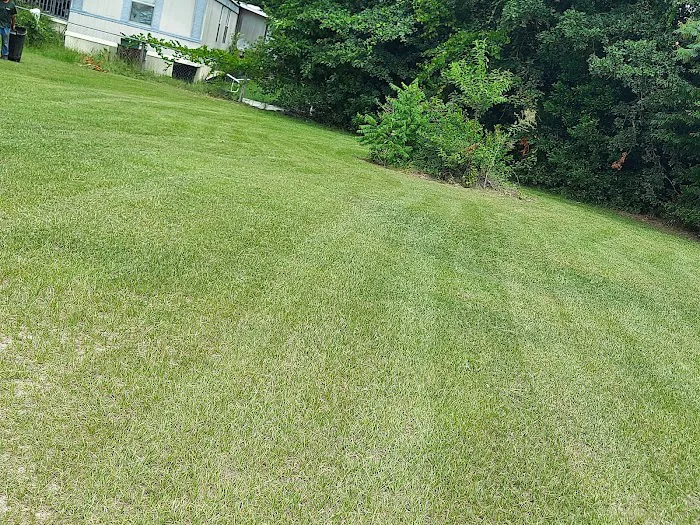 Golden Creek Subdivision Picture 3