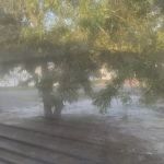 Town & Country Estates